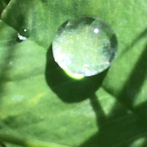 Meet your Posher, Kala